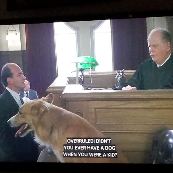 PLSreadBEFOREbuying! - Picture 9 of 16